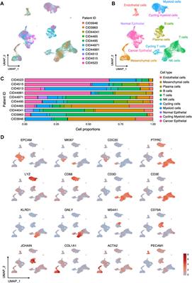 Integrative analysis identifies cancer cell-intrinsic RARRES1 as a predictor of prognosis and immune response in triple-negative breast cancer